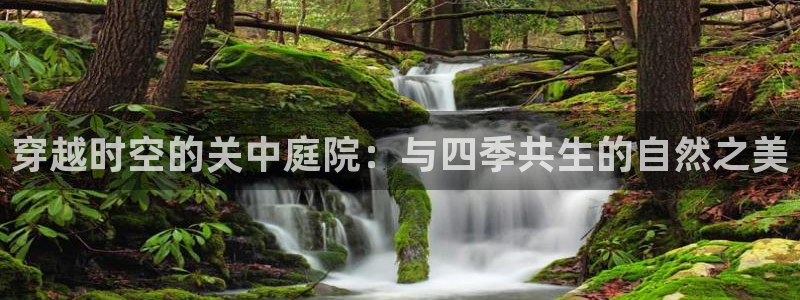 天顺娱乐舞厅地址在哪里:穿越时空的关中庭院:与四季共生的自然之美