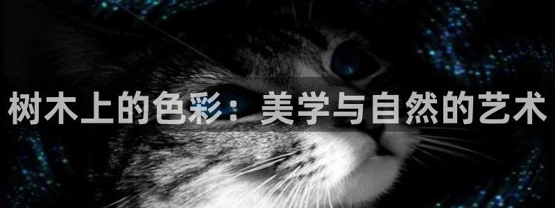 天顺娱乐毒 66 6:树木上的色彩:美学与自然的艺术