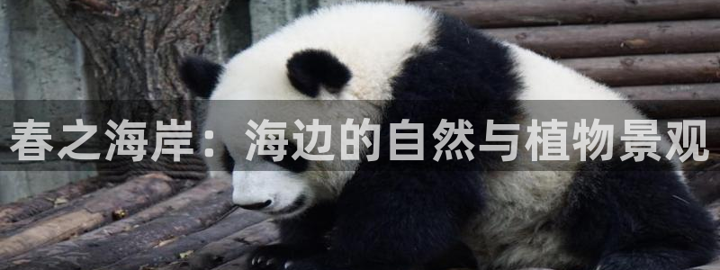 天顺娱乐旡税29999:春之海岸:海边的自然与植物景观