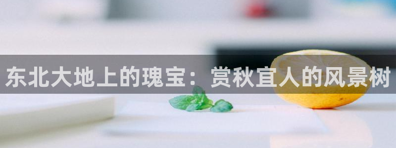 汝城天顺娱乐会所:东北大地上的瑰宝:赏秋宜人的风景树